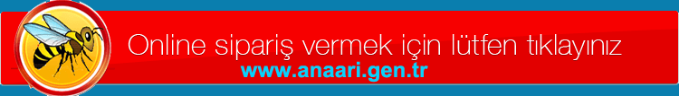 Ana Arı Siparişi
