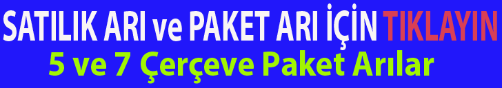 satılık arı ve paket arı