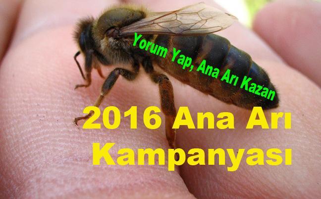 2016 ana arı kampanyası