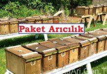 Paket Arıcılık