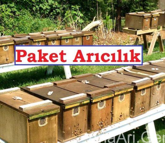 Paket Arıcılık