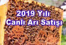 2019-yili-canli-ari-satisi