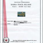 avrasya arıcılık marka ana arı gen tr