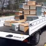 8 Çerçeveli Plastik Kutulu Paket Arı