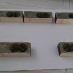 2019 yılı ana arı kampanyası 4