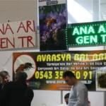 2019 arıcılık festivali yeni kapı - ana arı gen tr