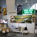 2019 yılı arıcılık festivali ana arı gen tr 1