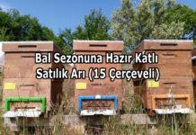 Bal Sezonuna Hazır Katlı Satılık Arı (15 Çerçeveli)