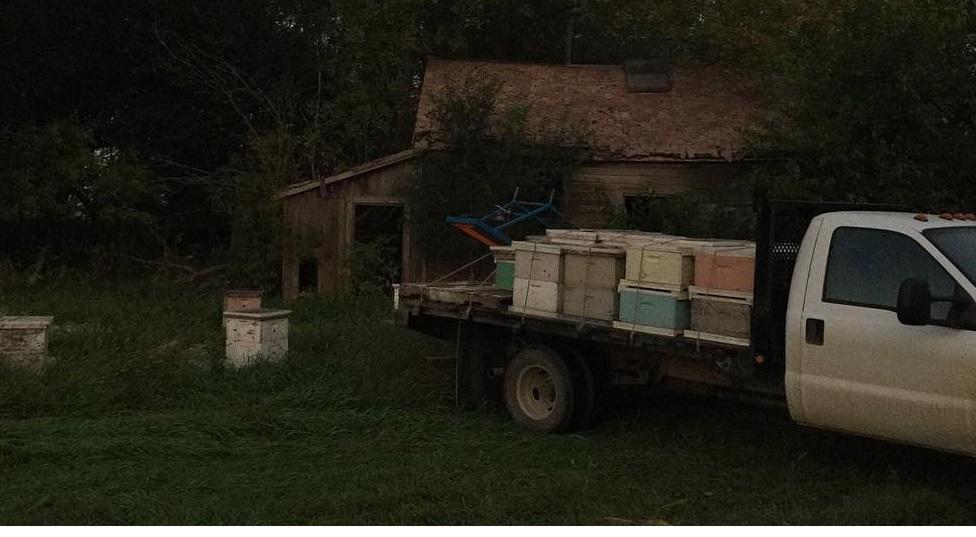 yeni başlayanlar için gezginci arıcılık
