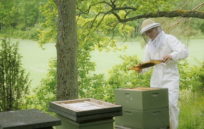 arı bölme ve arı birleştirme