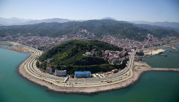 satılık arı giresun