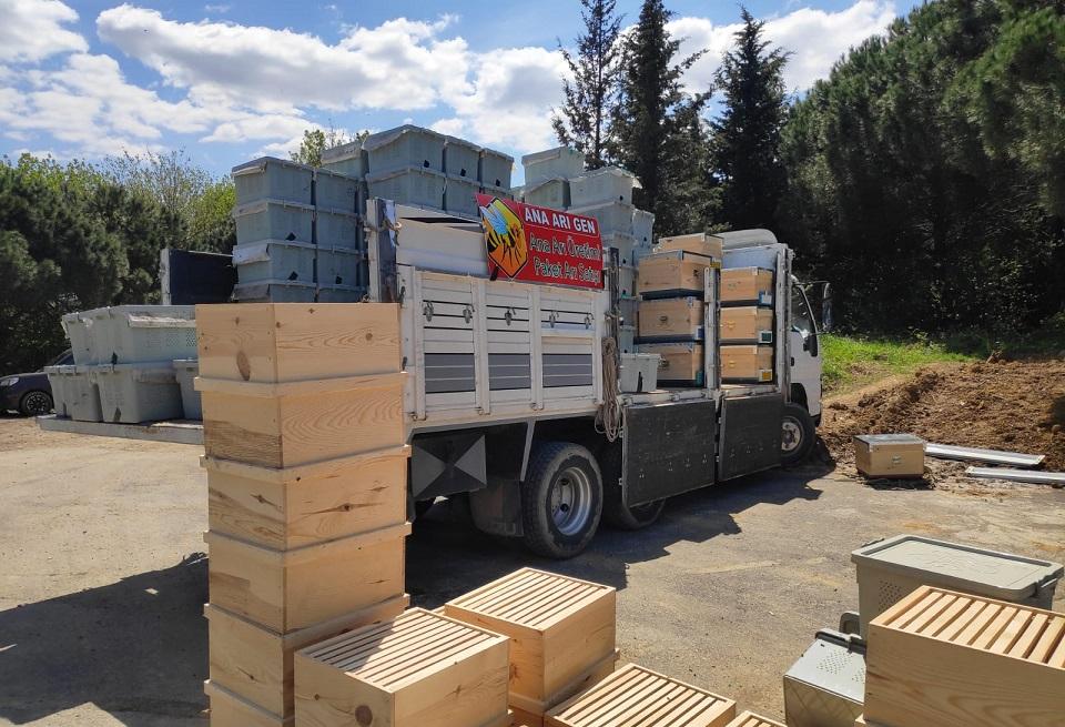 2020 canlı arı satışı 5