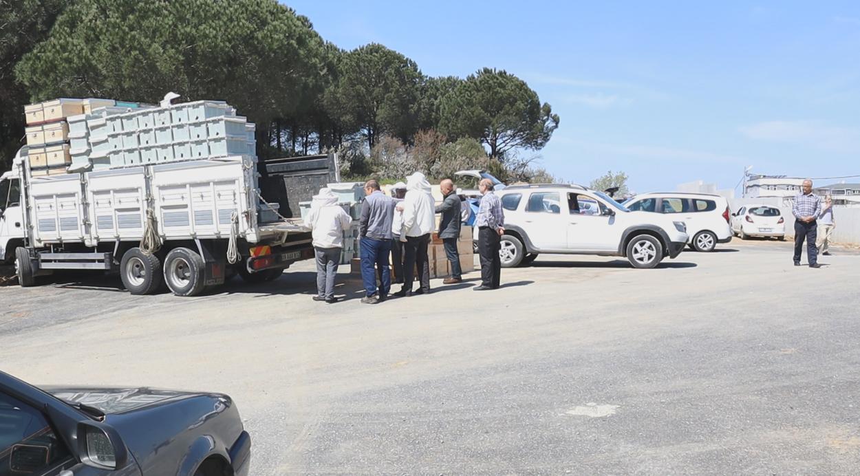 2020 Yılı Canlı Arı Satışı 1