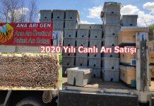 2020 yılı canlı arı satışı