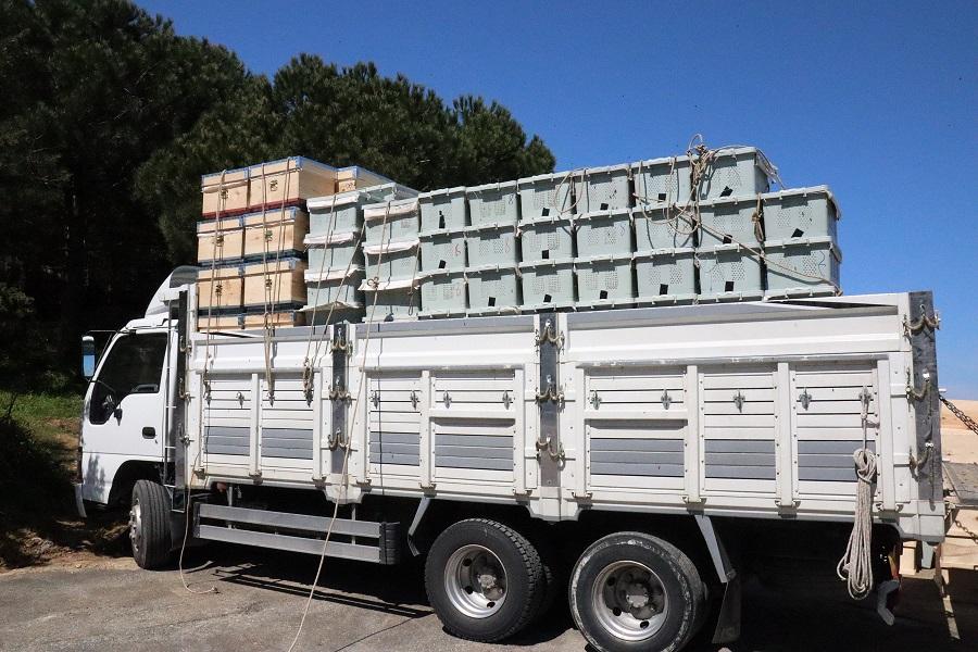 2020 yılı paket arı fiyatları 12