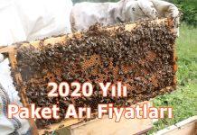 2020 yılı paket arı fiyatları