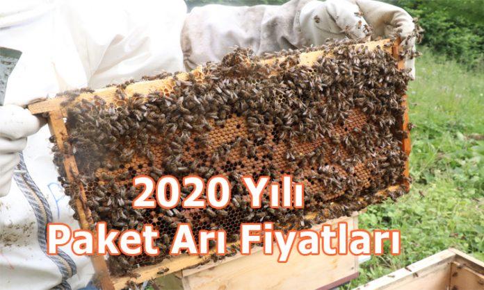 2020 yılı paket arı fiyatları