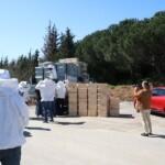 paket arı siparişi 12