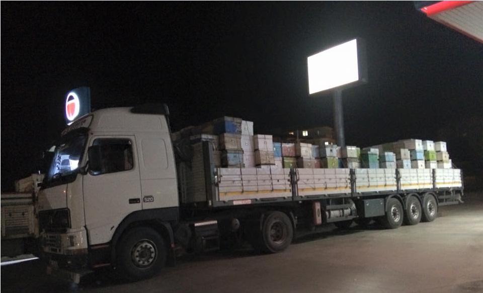 yeni başlayanlar için gezgin arıcılık