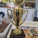 ana arı gen inovasyan fikir ödülü