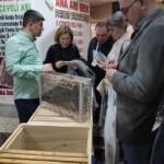 2020 haliç arıcılık fuarı - ana arı gen 4