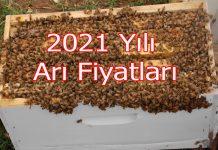 2021 yılı arı fiyatları