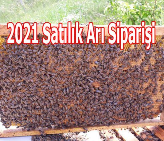 2021 yılı satılık arı siparişi