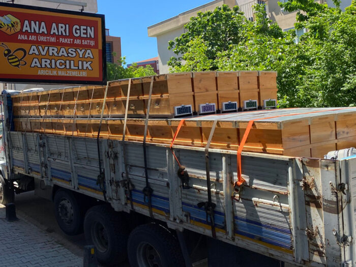 2023 Yılı Arı Fiyatları 4