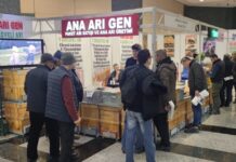 ana ari gen firmasi 2023 istanbul aricilik fuari