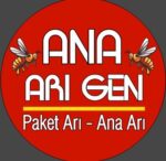 Ana Arı Gen