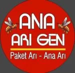 Ana Arı Gen