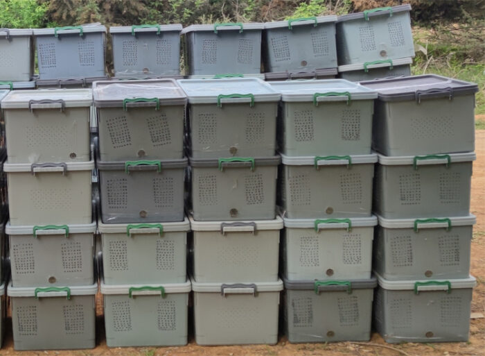 samsun satılık arı 2