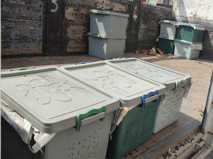 samsun satılık arı 3