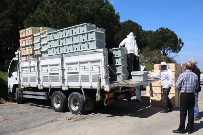 satılık arı izmir 1