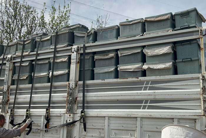 satılık arı izmir 3