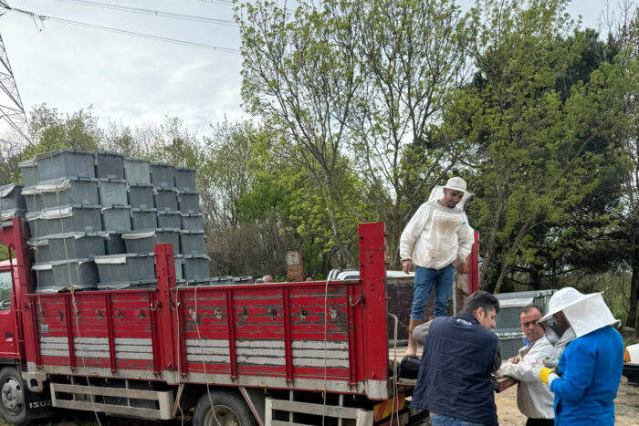 2025 Yılı 1 Kovan Paket Arı Fiyatı 3 2025 Yılı 1 Kovan Paket Arı Fiyatı