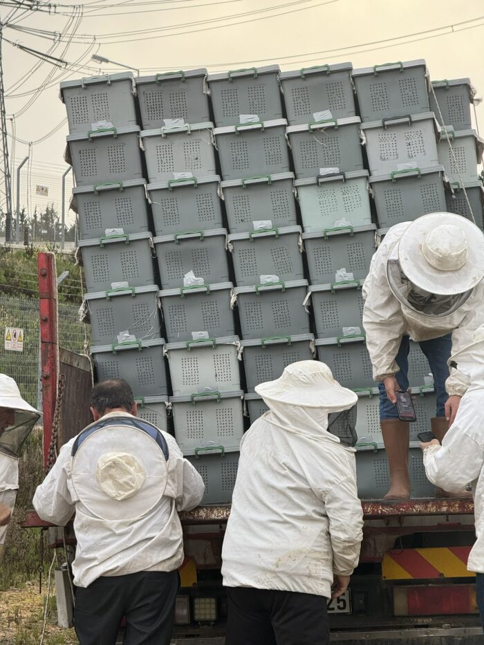 2025 Yılı Satılık Arı Dağıtımı 2 2025 Yılı Satılık Arı Dağıtımı 2