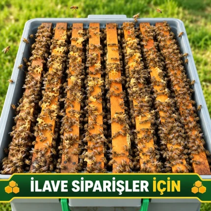 8 Çerçeveli Paket Arı ilave