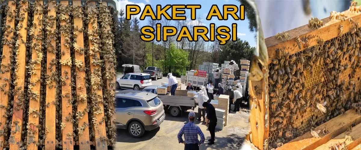 Paket arı siparişi ve dağıtımı