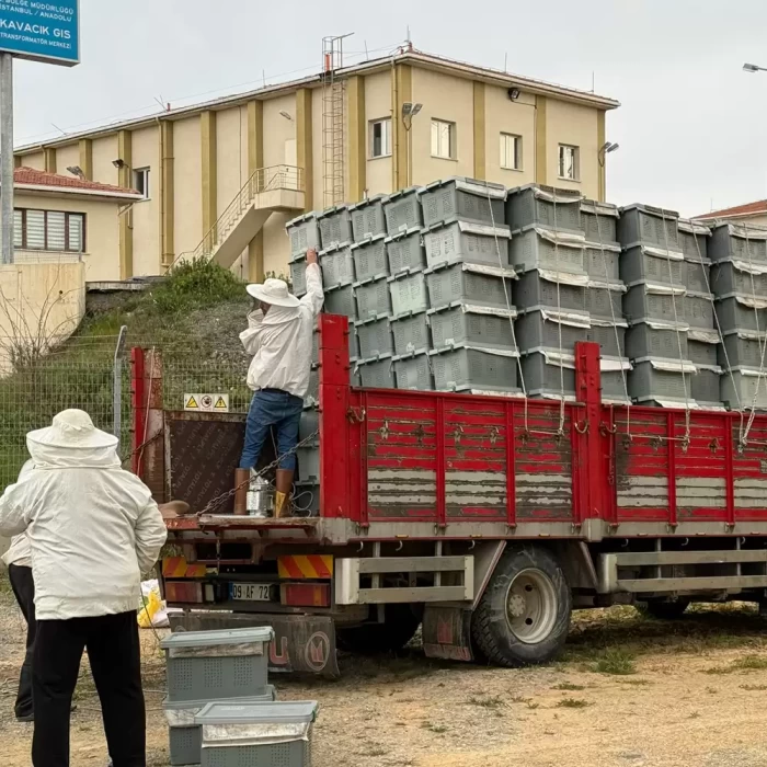 paket arı ilave 2026-2