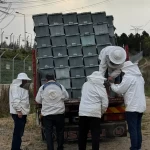 paket arı ilave 2026-3