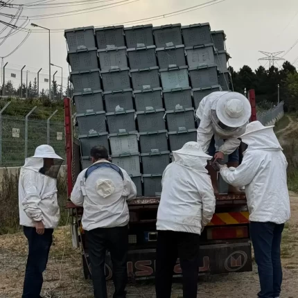 paket arı ilave 2026-3