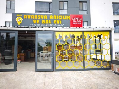 ana arı gen samsun şubesi