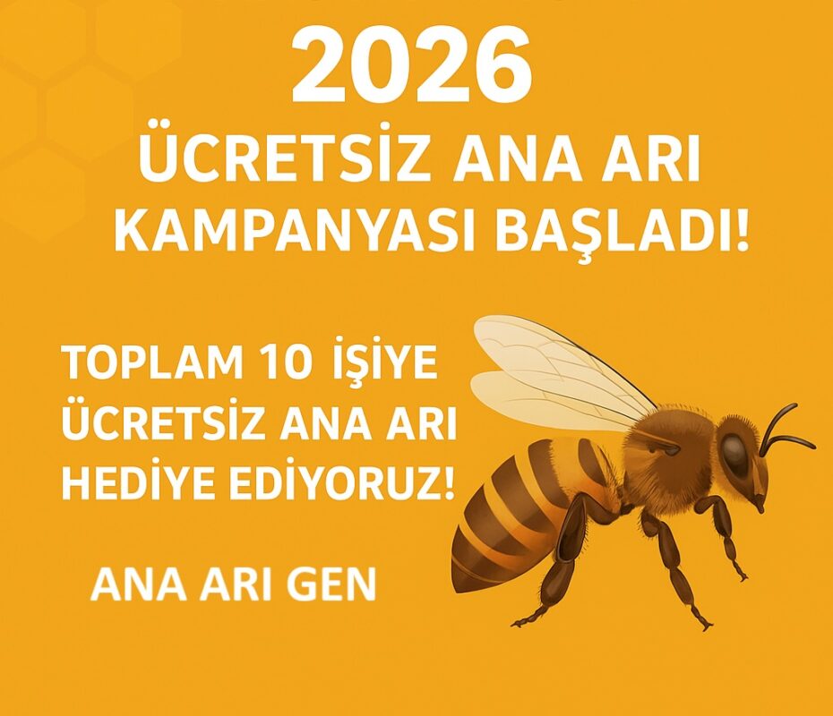 2026 ana arı kampanyası