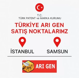 türkiye arı gen 4
