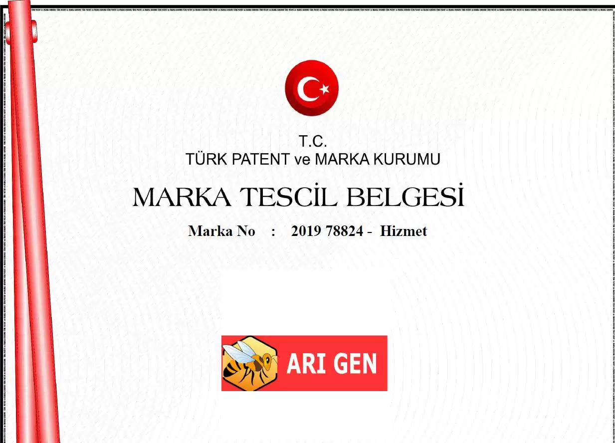 türkiye arı gen