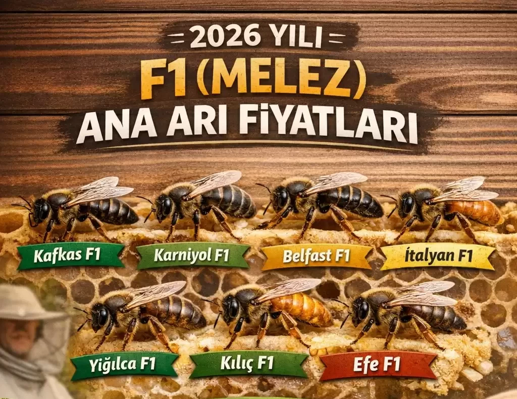 2026 yılı ana arı fiyatları 2