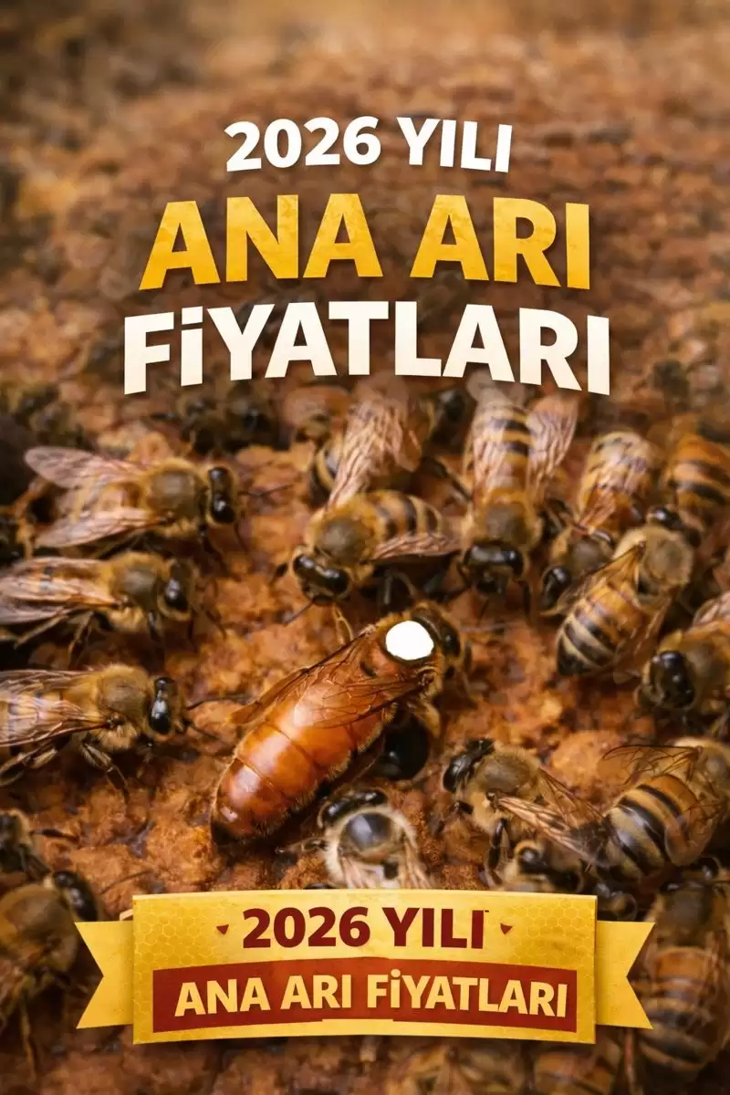 2026 yılı ana arı fiyatları