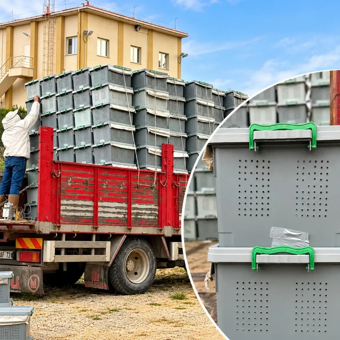 8 Çerçeveli Paket Arı 7