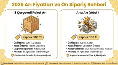 Arı Fiyatları